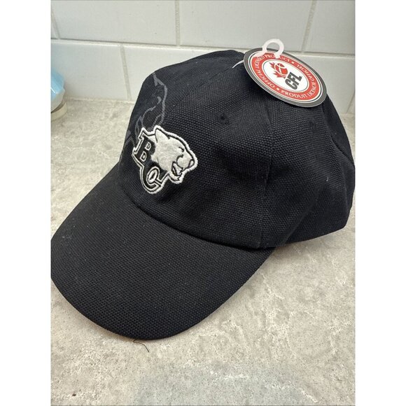 BC Lions Baseball Cap Black CFL Official Licensed Product Wrap Around Logo NWT - Picture 1 of 6